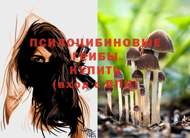 Галлюциногенные грибы MAGIC MUSHROOMS  купить  сайты  Биробиджан 